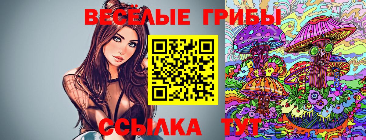 Галлюциногенные грибы Psilocybe  Галлюциногенные грибы Cubensis  Вход с VPN  Йошкар-Ола 